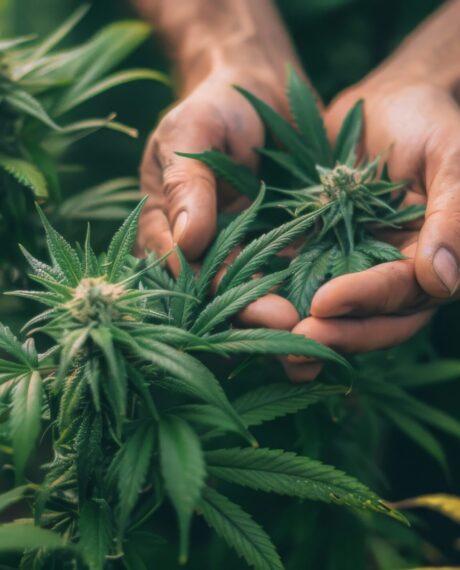 Hospitality & Leisure